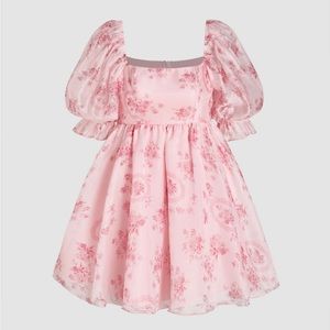 Cider floral puff sleeve mini dress